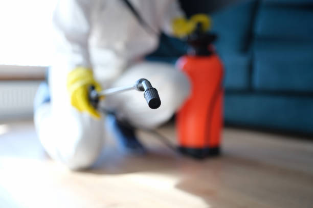 Mold Remediation for Rental Properties in Moyie Springs, ID