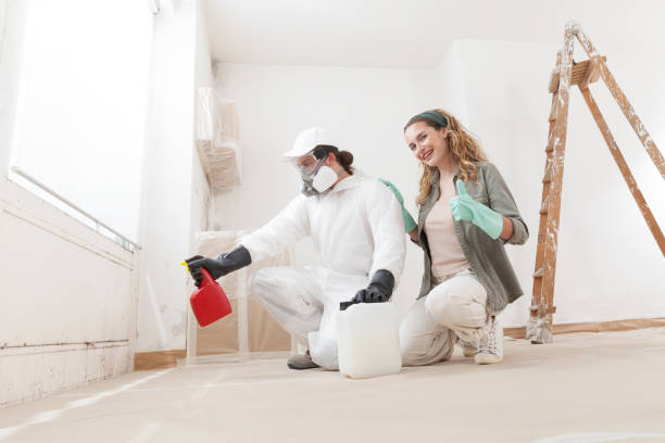 Mold Removal for HVAC Installations in Moyie Springs, ID